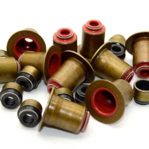 Audi RS3 | TTRS | 2.5 TFSI | DAZA | DNWA | REINZ Valve Stem Seal Set